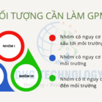 Dịch vụ xin làm giấy phép môi trường tại TpHCM, Bình Dương, BRVT
