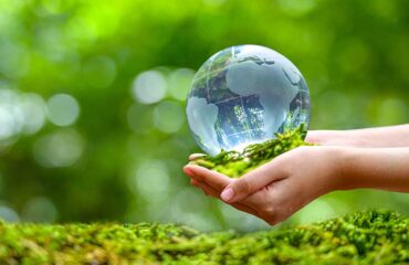 Ý nghĩa và tầm quan trọng của môi trường